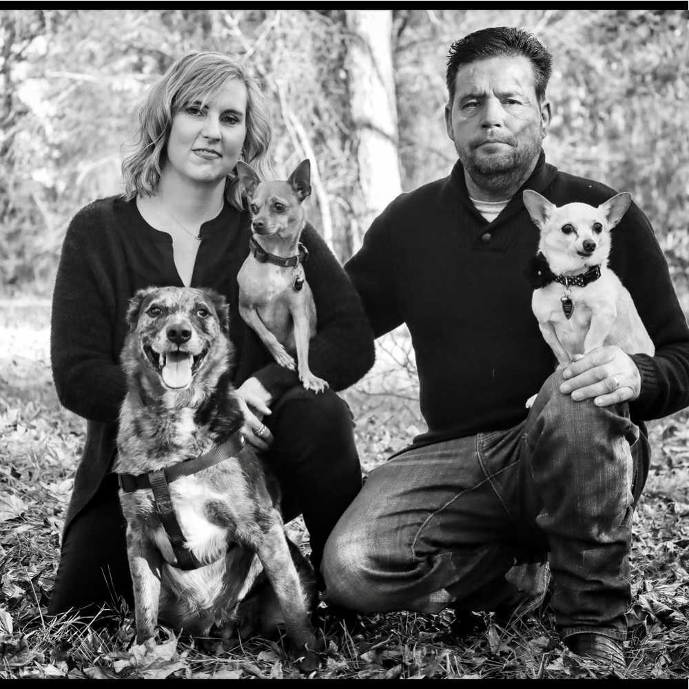 Meet Your Seller - Picture 8 of 15